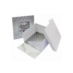 Boîte à Gâteau Carré avec Support 25x25x15 cm PME