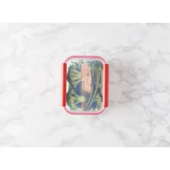 Boîte de Conservation Connectée 1,04 L Rouge Stor'eat Mastrad