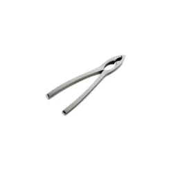 Casse-noix et Pince à crustacés Inox