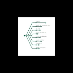 Chocolat au Lait Alunga 41% 1 kg