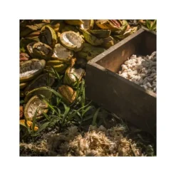 Chocolat de Couverture Noir Manjari 64% 250g Valrhona