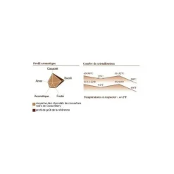 Chocolat Force Noire 50% pistoles 1 kg Barry