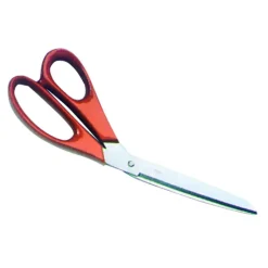 Ciseaux à Poisson 25 cm en inox