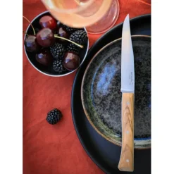 Coffret 4 Couteaux de Table Olivier Facette Opinel