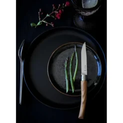 Coffret 4 Couteaux de Table Olivier Table Chic Opinel