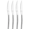 Coffret 4 Couteaux Steak Aurora 22,7 cm Amefa Premiere