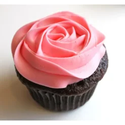 Colorant Alimentaire en Poudre Rose 5g Scrapcooking