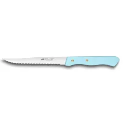 Couteau à Steak Cranté 11,5 cm Sabatier Turquoise