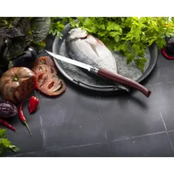 Couteau de Poche Effilé N°12 en Inox Opinel