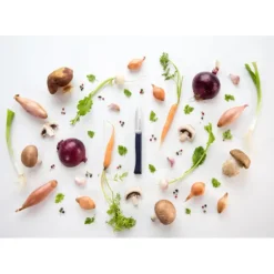 Couteau d'Office N°225 Intempora Opinel