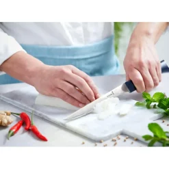 Couteau Effilé N°221 Intempora Opinel