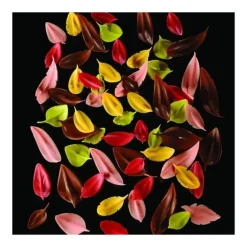 Couteau Inox Feuille 6 x 3 cm Flychoc Pavoni