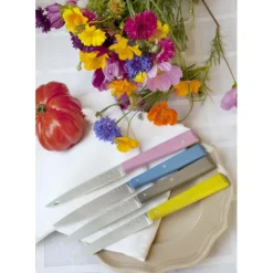 Couteaux de Table (x4) Campagne Bon Appétit ! Opinel