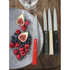 Couteaux de Table (x4) Loft Bon Appétit ! Opinel