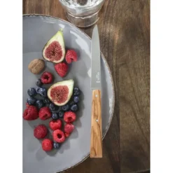 Couteaux de Table (x4) Sud Bon Appétit ! Opinel