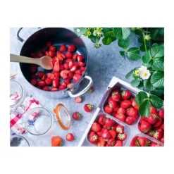 FIN DE SERIE Faitout Induction Ø 20 cm Collection BARCELONA EVERSHINE GreenPan