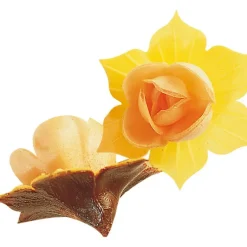 Fleurs de Jonquille orange x5 - en Azyme