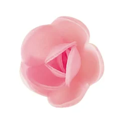 Fleurs de rose blanches et roses x6, grandes feuilles x12 - en Azyme