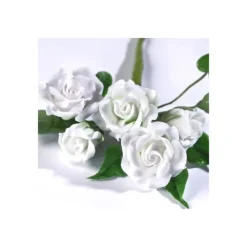 Gum Paste Renshaw Blanc 250 g