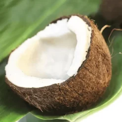 Huile de Coco 150 ml Terre Exotique