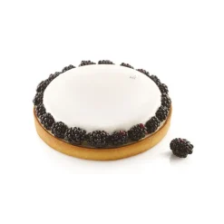 Kit Moule Silicone 1 Tarte Ø 210mm Silikomart Professional