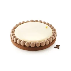 Kit Moule Silicone 1 Tarte Ø 250mm Silikomart Professional