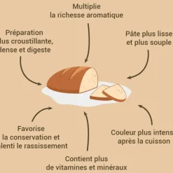 Levain blé dur pour pain et levure 150 g Patisdécor