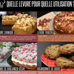 Levure Boulangère Sèche 50 g Patisdécor