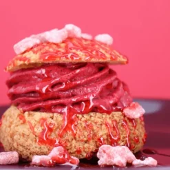 Mix Sorbets Maison 300 g Patisdécor