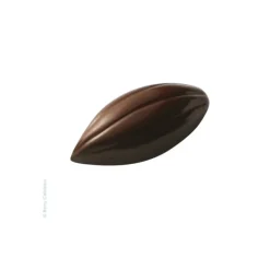 Moule à Chocolat Bonbon Cabosse 3,9 x 1,7 cm (x40) Barry
