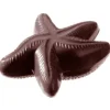 Moule à Chocolat Etoile de Mer (x2) Chocolate World
