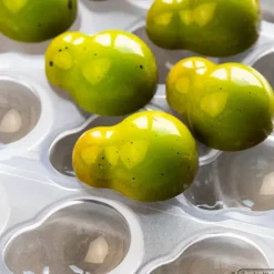 Moule Chocolat Andrey Dubovik 27,5 x 36,5 mm (x21) Chocolate World