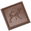 Moule Chocolat Carré Dromadaire 34mm (x21) Chocolate World