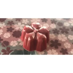 Moule Chocolat Fleur de Cerisier Sakura Kohei Ogata (x21) Chocolate World