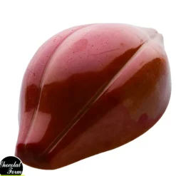 Moule Chocolat Fève Cacao 47,5 mm (x24) Chocolat Form