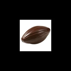 Moule Chocolat Grosse Cabosse 195 mm (x2) Barry