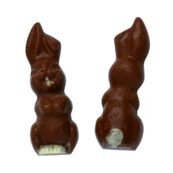 Moule Chocolat Lapins de Pâques