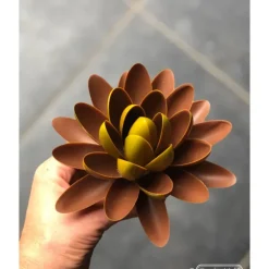 Moule Chocolat Lentille Oblique 62,5 mm (x14) Chocolate World