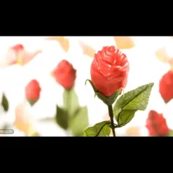 Moule Chocolat Rose Ouverte 12 Cavités Chocolate World