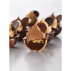 Moule Chocolat Sphère Aplatie 3 cm (x24) Chocolate World