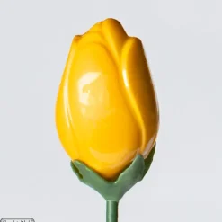 Moule Chocolat Tulipe 12 Cavités Chocolate World