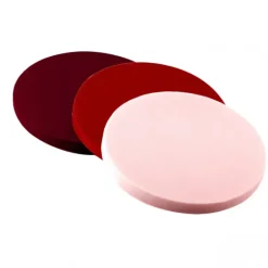 Moule Silicone 6 Fonds de Tarte Biscuit Ø16 x 1 cm 200ml SilikoMart Professional