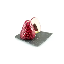Moule Silicone 5 Mûres et Framboises 110ml Silikomart Professional