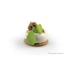 Moule Silicone 8 Ronds Bombés 85 ml Silikomart Professional