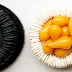 Moule Silicone Charlotte 18 cm x H 6,5 cm Cédric Grolet Pavoni