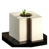 Moule Silicone Cube Tekno 5,8 x 5 cm x H 5 cm (x24) Pavoflex
