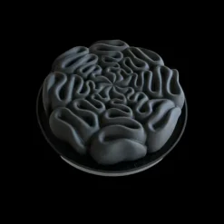 Moule Silicone Dentelle 18 cm x H 5 cm Cédric Grolet Pavoni