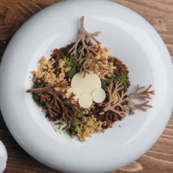 Moule Silicone Gourmand Bois 7,8 x 4,8 x H 0,2 cm (x10) Pavoni