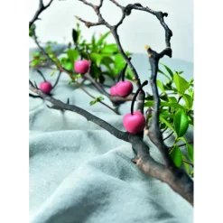 Moule Silicone Gourmand Cerise Ø 2,6 x H 1,2 cm (x35) Pavoni