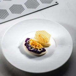 Moule Silicone Gourmand Rayon de Miel 6,7 x 6 x H 0,2 (x8) Pavoni